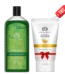Body Wash | Aloe Vera & Matcha