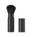 Retractable Brush